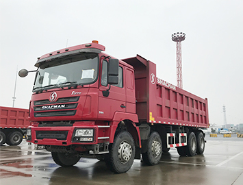 Shacman F3000 8x4 12 wheeler 25 cubic meter dump truck